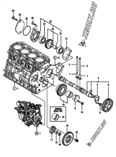  Двигатель Yanmar 4TNV84T-MWA, узел -  Распредвал и приводная шестерня 