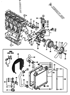  Двигатель Yanmar 4TNE84T-GB2CT, узел -  Система водяного охлаждения 
