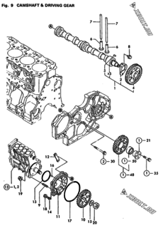  Двигатель Yanmar 4TN100E-GB1, узел -  Распредвал и приводная шестерня 