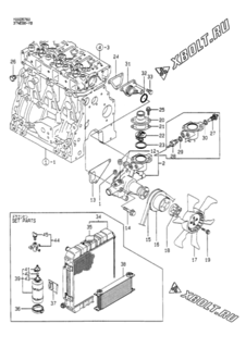  Двигатель Yanmar 3TNE88-YB, узел -  Система водяного охлаждения 